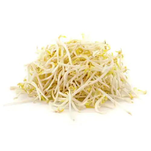 Bean Sprouts 1Kg UAE